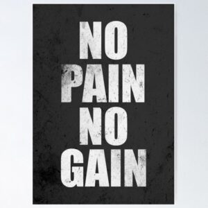 Premium Wall Sticker/T-Shirt for Business & Lifestyle - No Pain No Gain